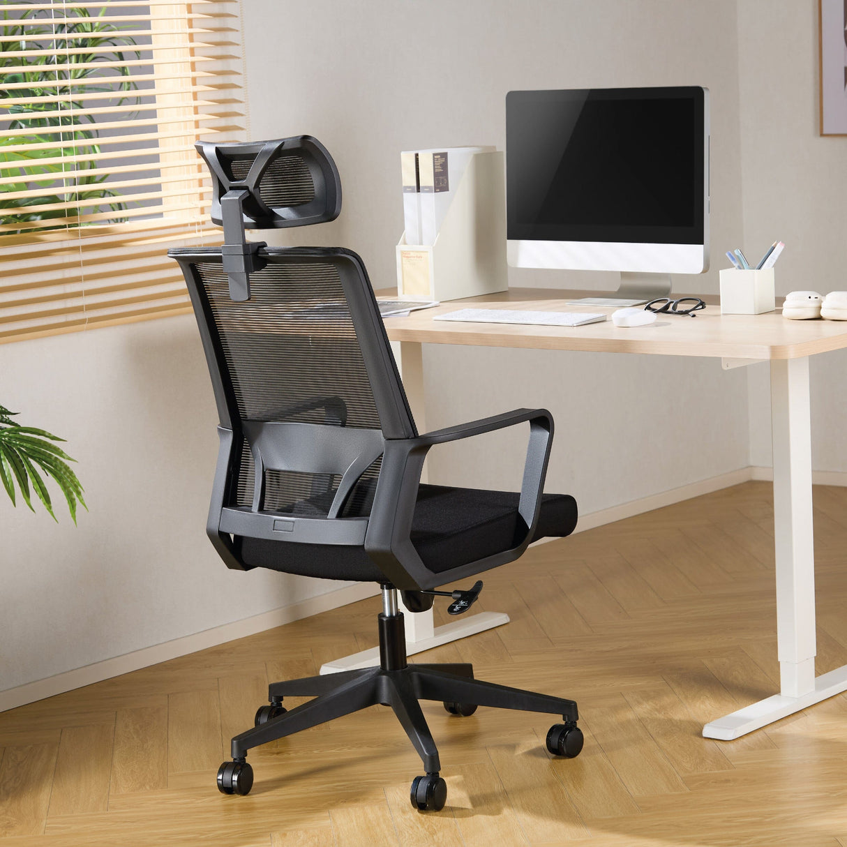 TTAP Cambridge Black Plus Mesh Office Chair