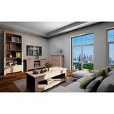 LOFT24 Emerald 2 Door TV Stand in Oak