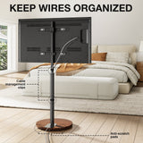 TTAP FSC-WAL TV Stand with Bracket for up to 65" TVs - Walnut and Black