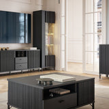 Furniture To Go Lusaka TV Cabinet 2 Door 2 Drawer in Black Graphite
