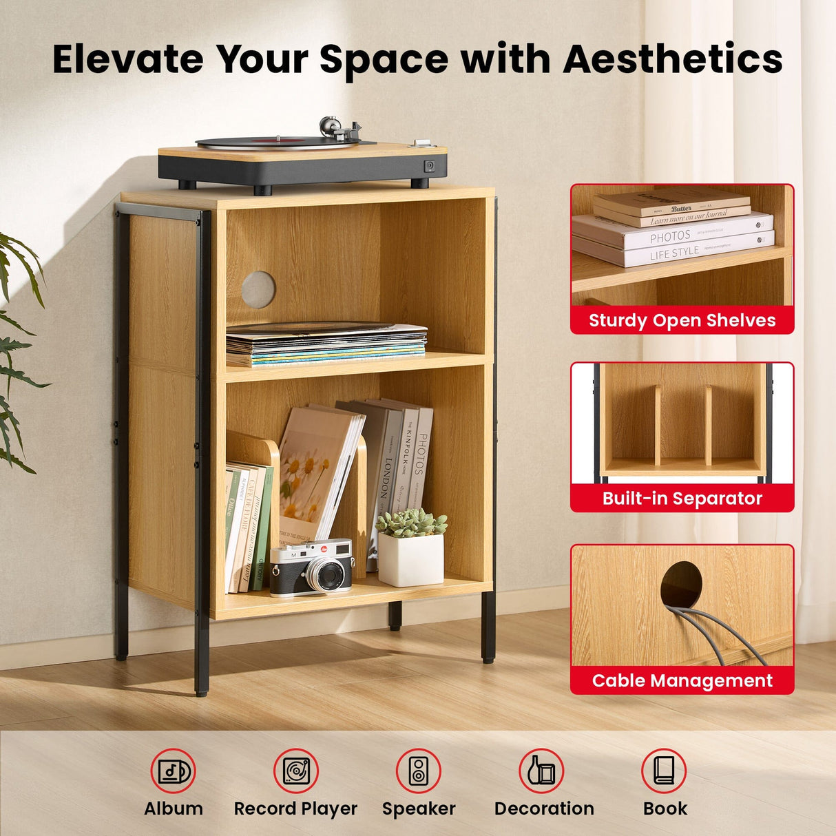 TTAP Valencia Turntable Stand with Vinyl Storage