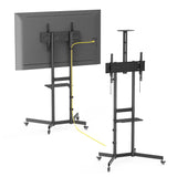 AVF APTC6100: AVF PRO Height Adjustable Mobile TV Trolley